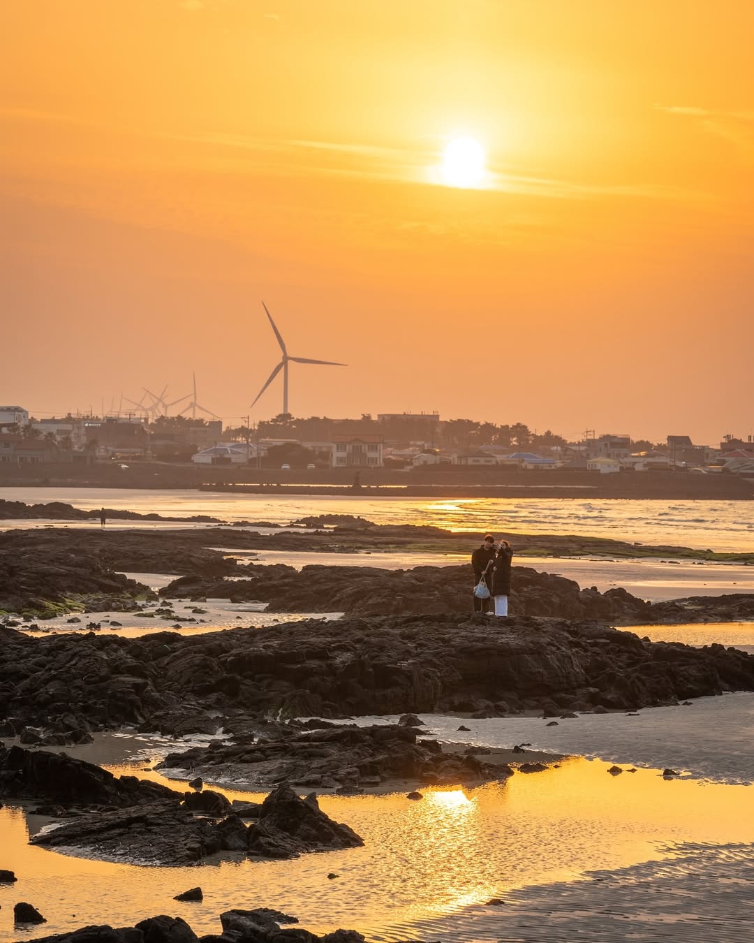 협재해변's picture