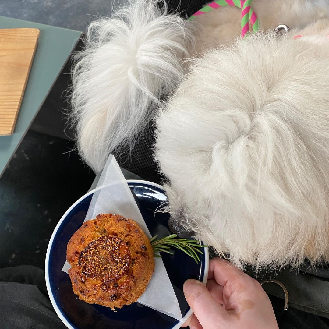 앤트러사이트 제주 한림점(Anthracite Coffee Jeju Hanlim)