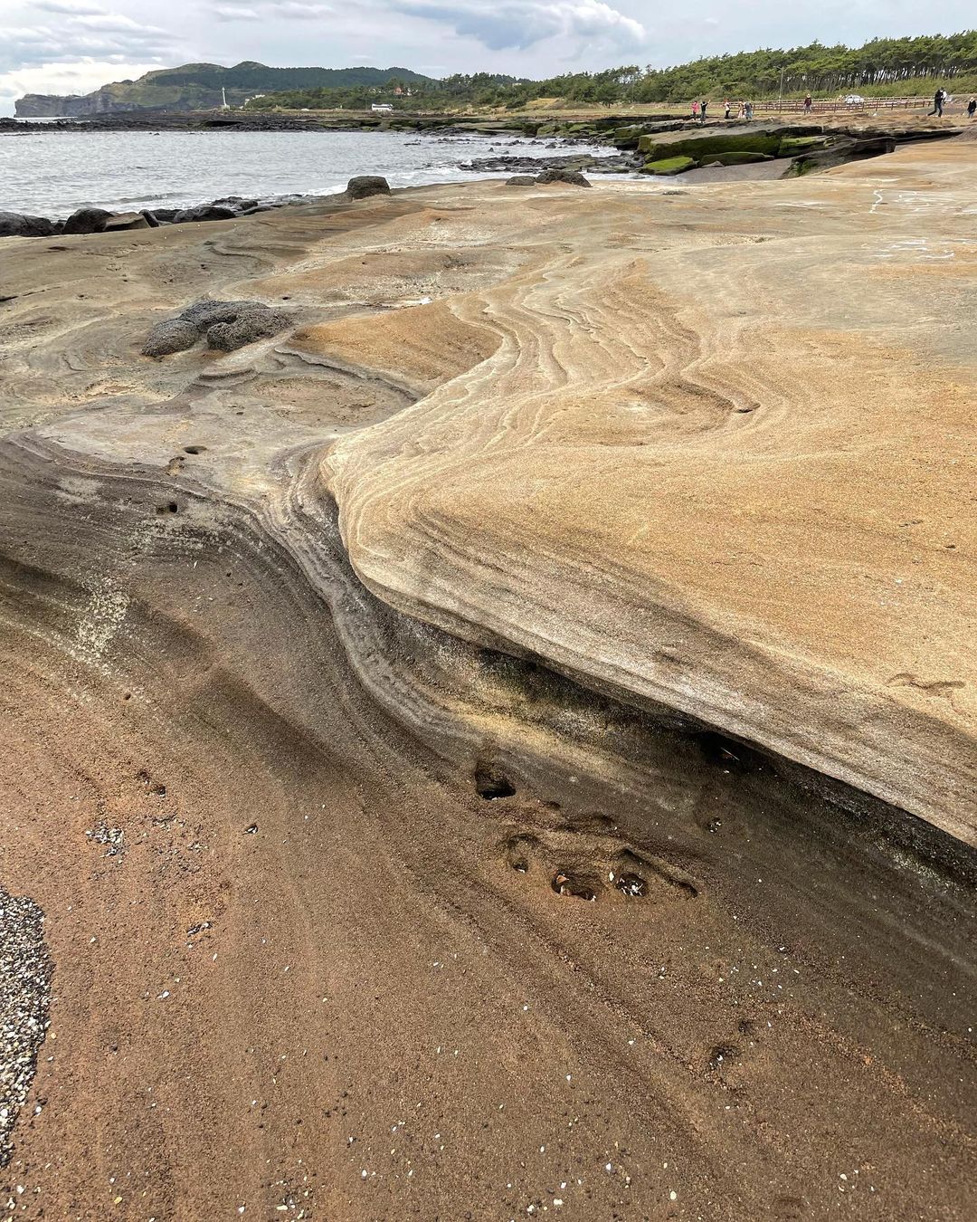 사계해안's picture