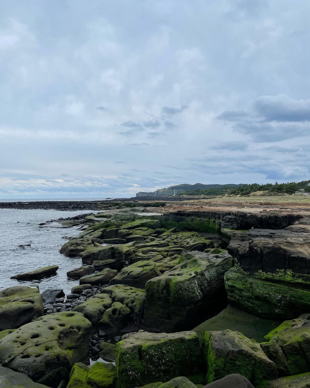 사계해안's picture