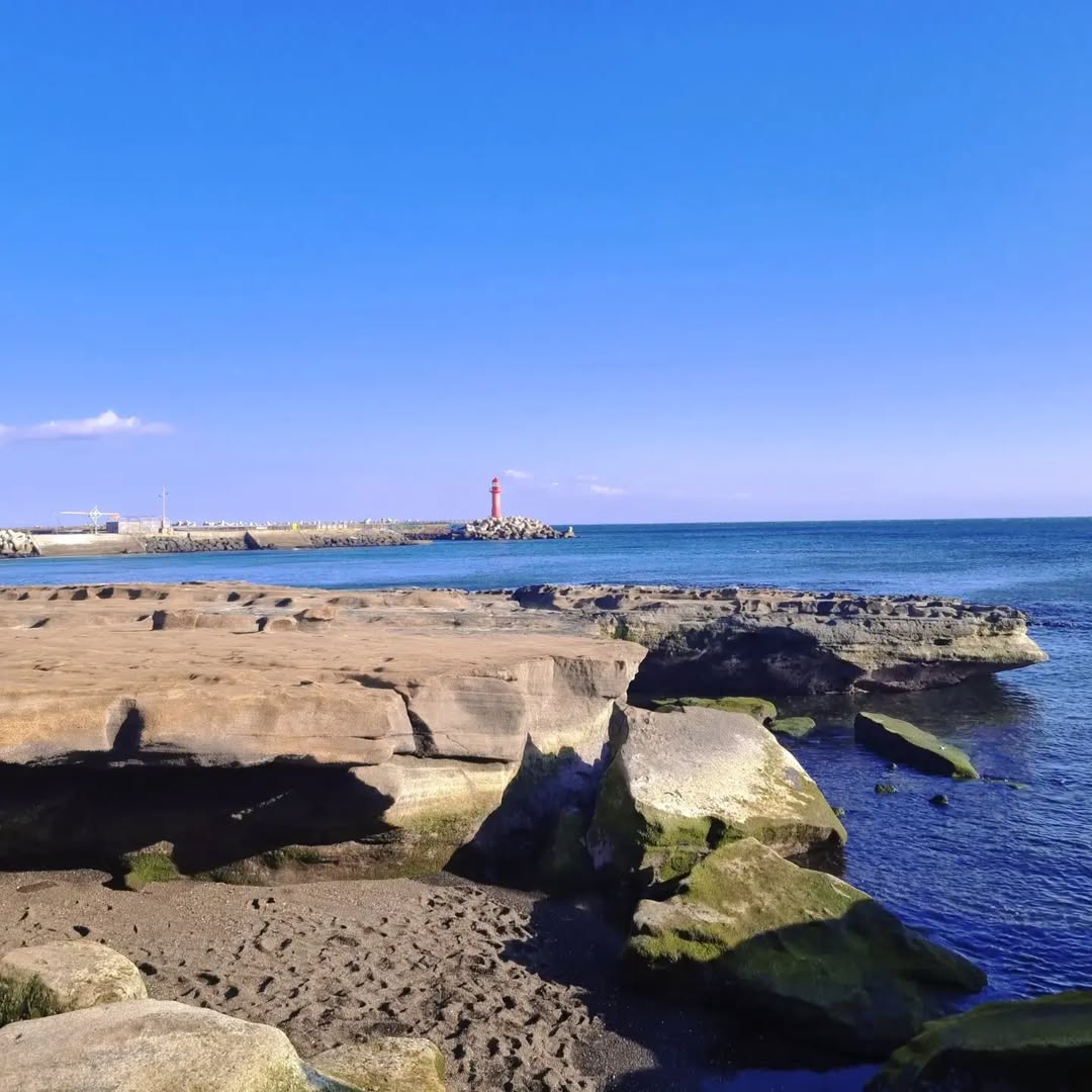 사계해안's picture