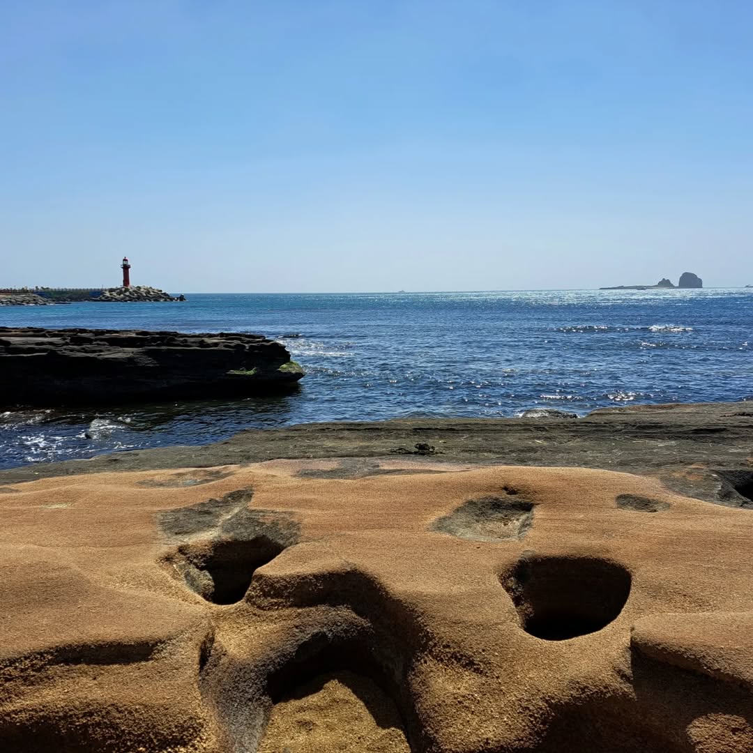 사계해안's picture