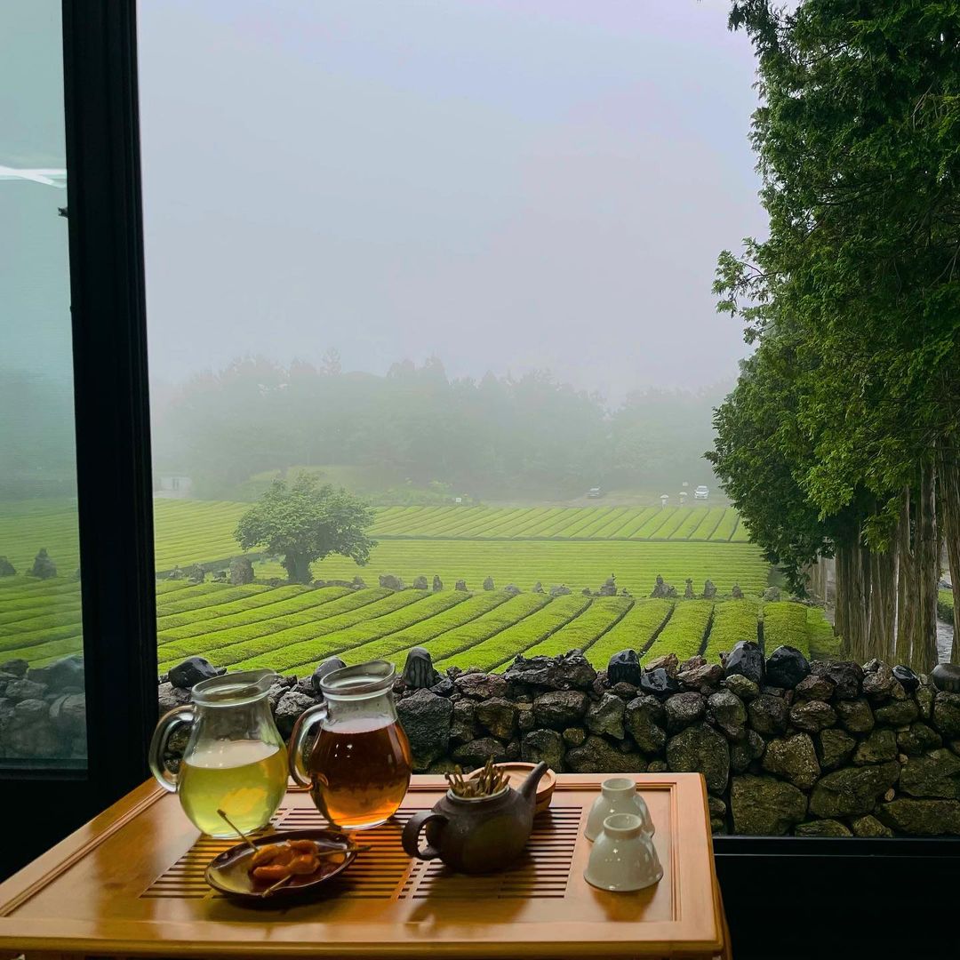 서귀다원(Seogwi Dawon)