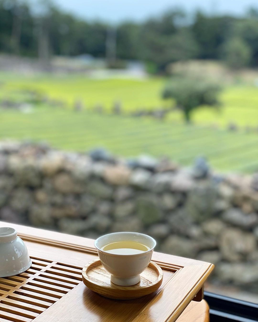 서귀다원(Seogwi Dawon)