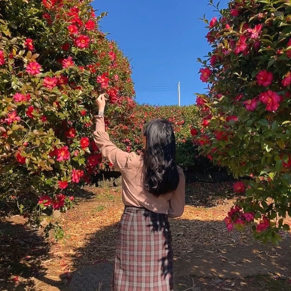동백 포레스트(Camellia Forest)