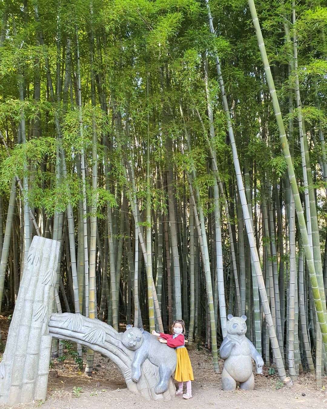 상효원수목원's picture