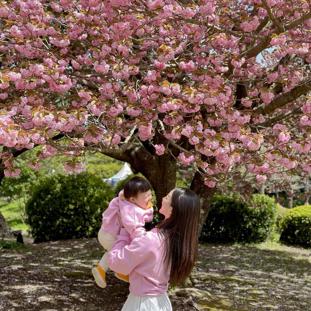 (겨울 한정) 서부 동백 로드's picture