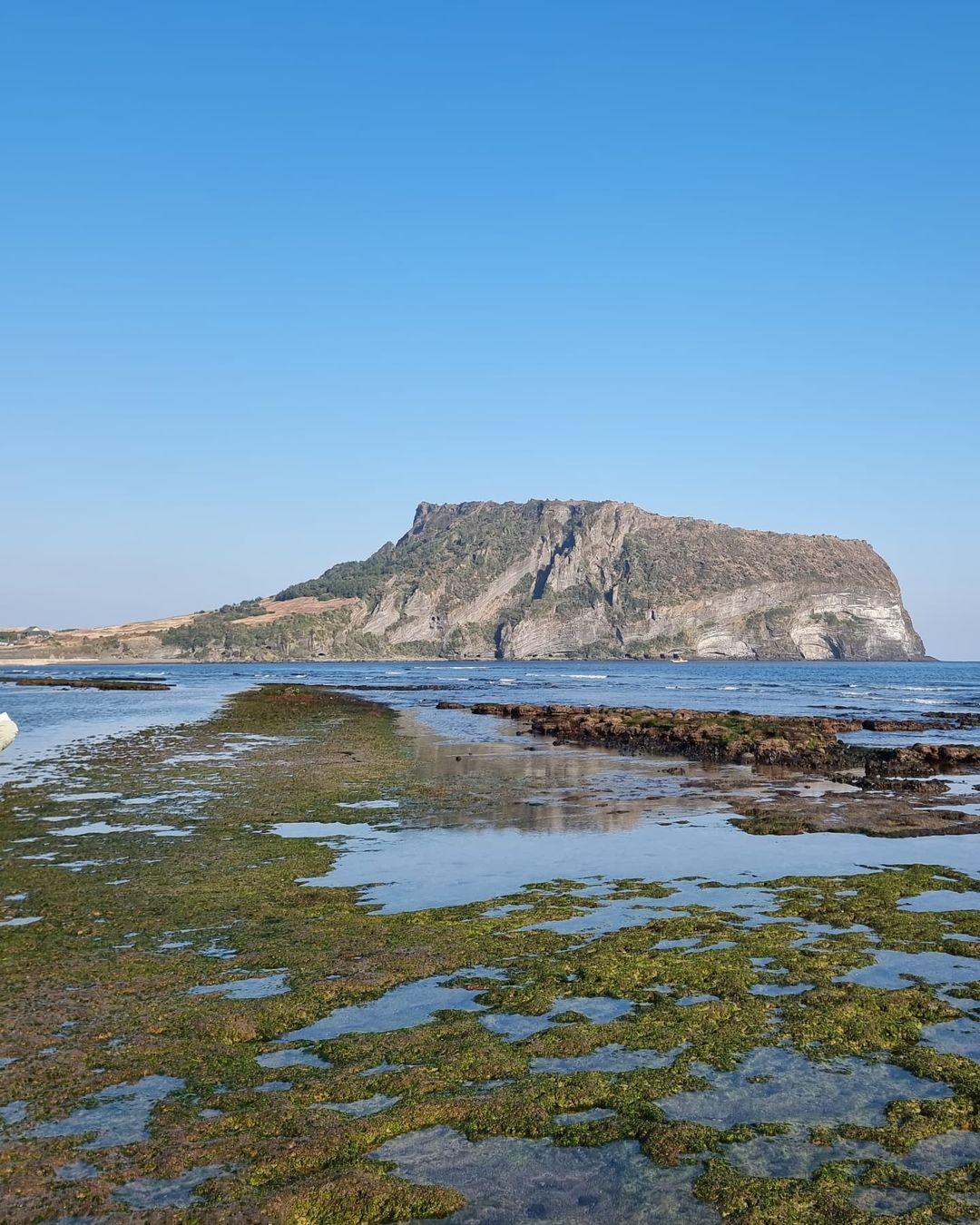 Discover the Hidden Charms of Eastern Seogwipo