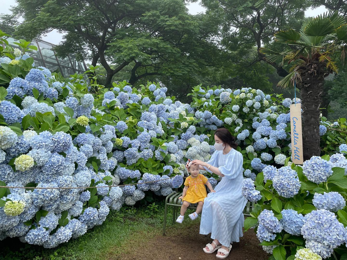 카멜리아힐(Camellia Hill Botanical Garden)'s picture
