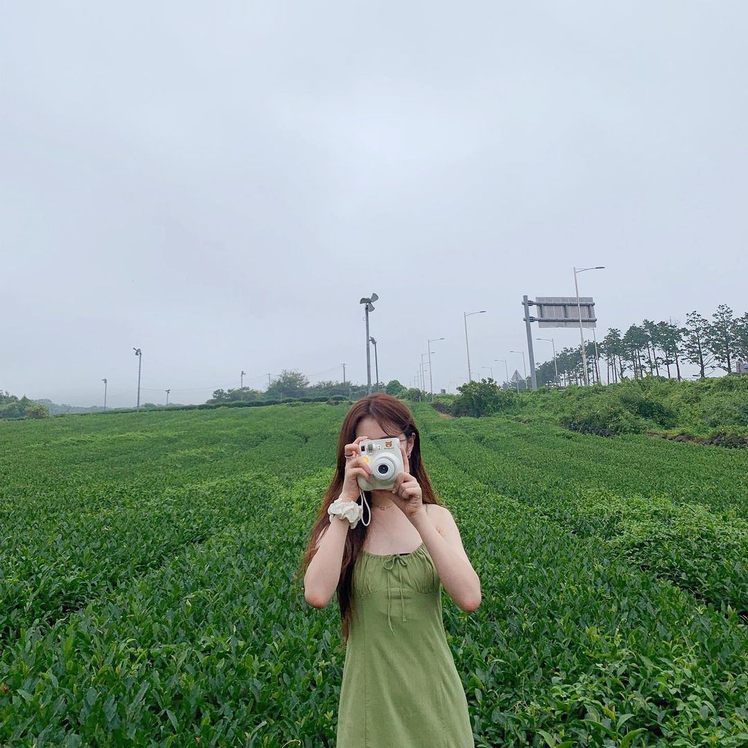 오설록 티뮤지엄's picture