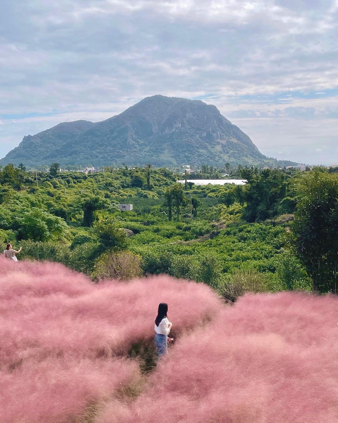 마노르블랑's picture