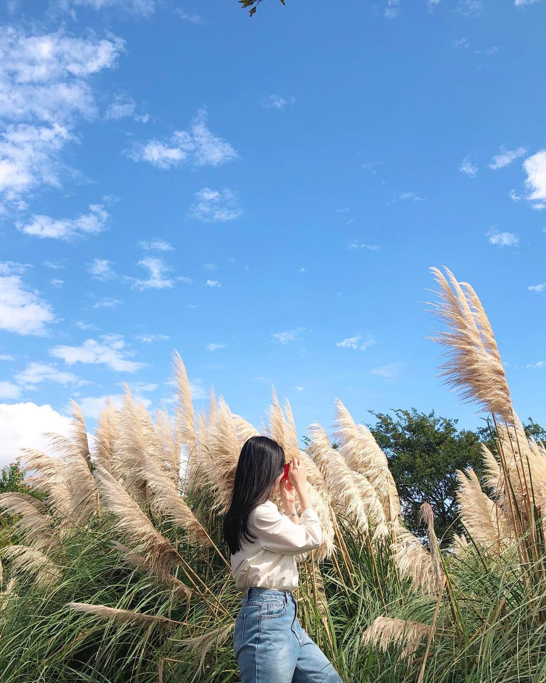 마노르블랑's picture