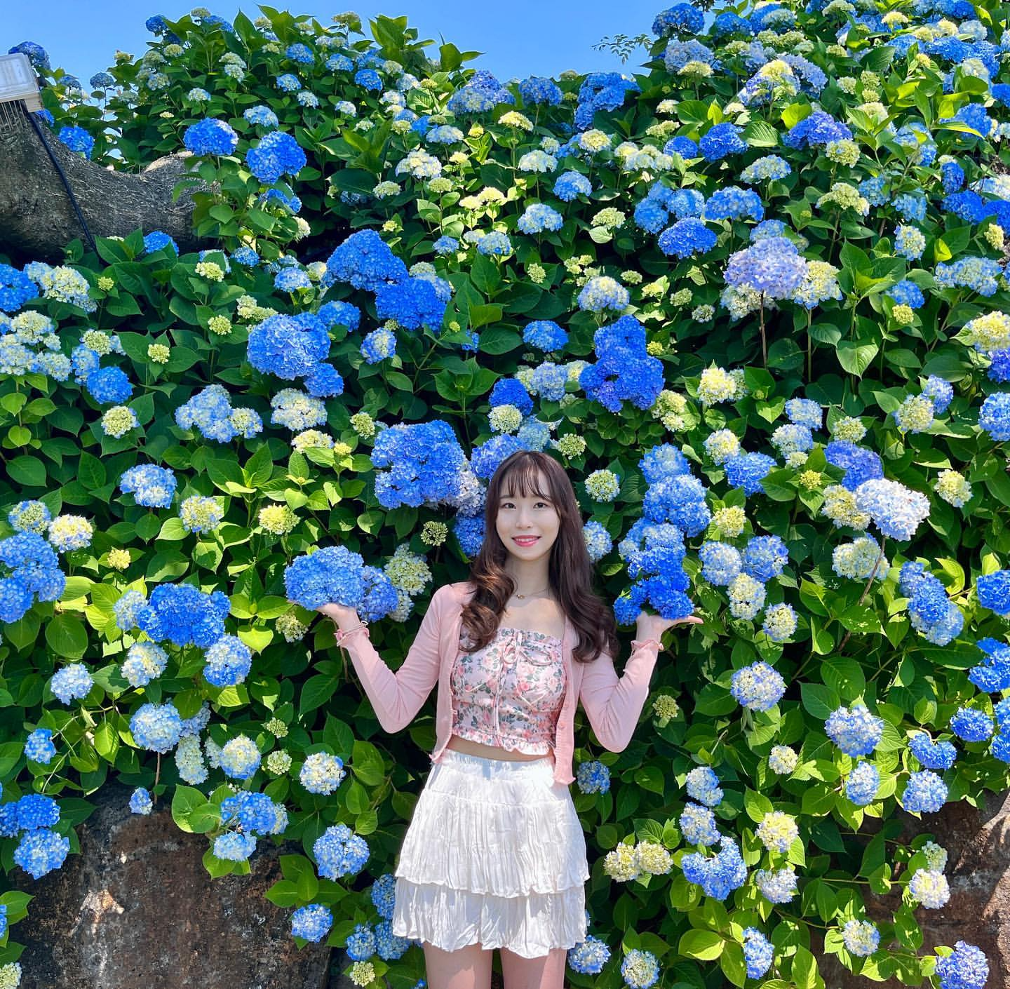 마노르블랑's picture