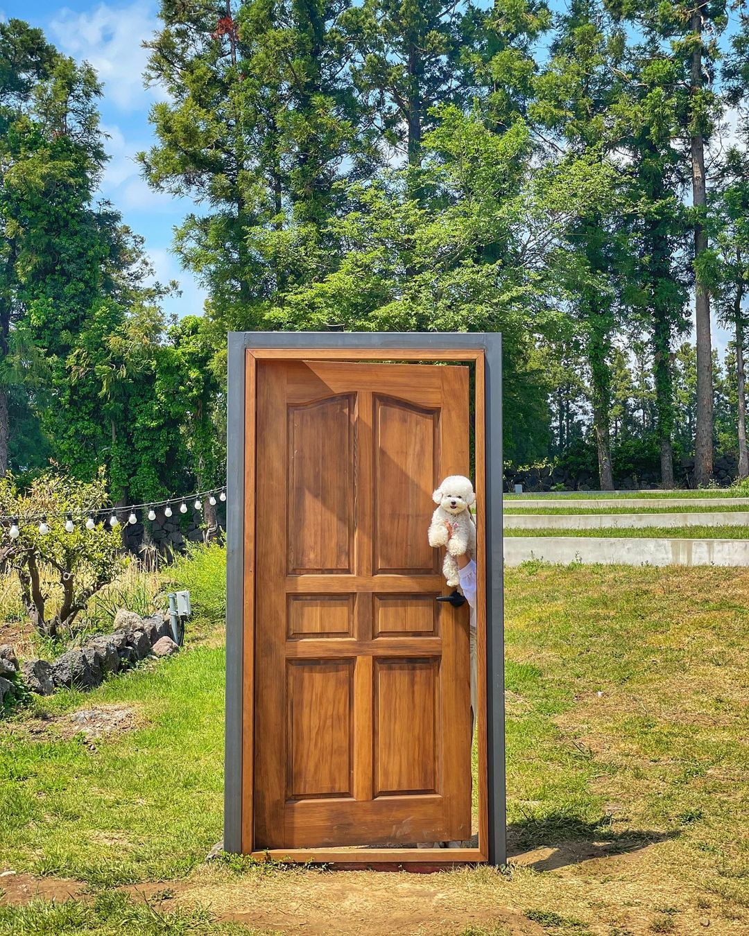 카페 테(cafe tee)