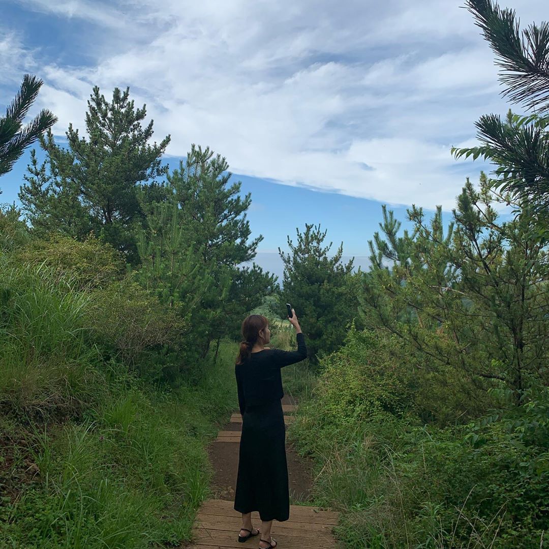 Jeju Drive Course: Stress Relief Escape