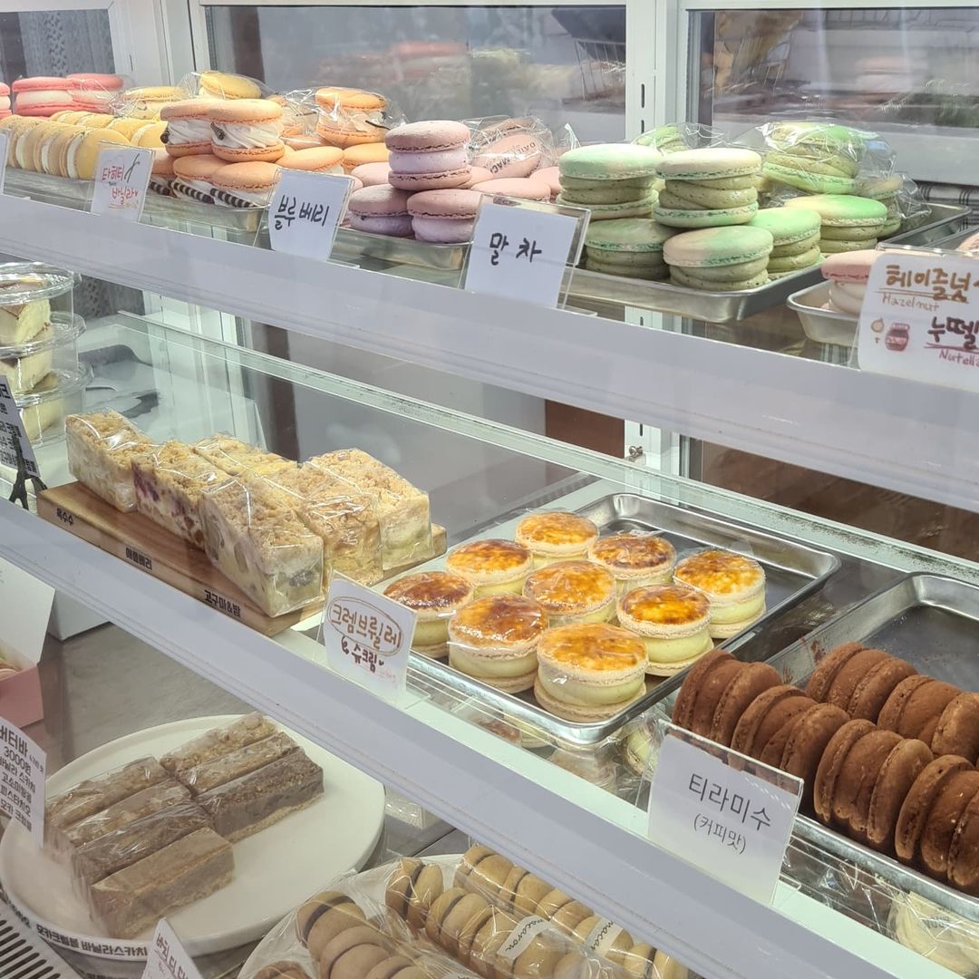 데일리마카롱(daily macaron)