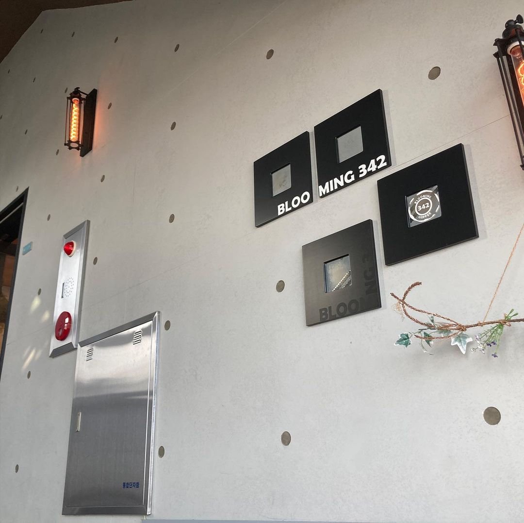 블루밍342(BLOOMING 342)