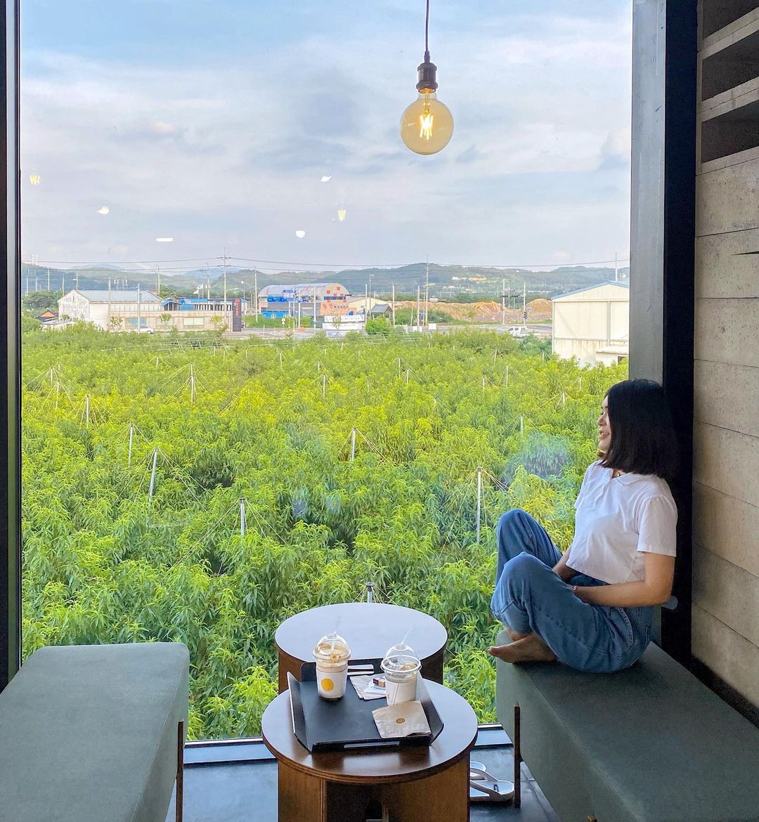 나무그늘(NAMU GEUNEUL)