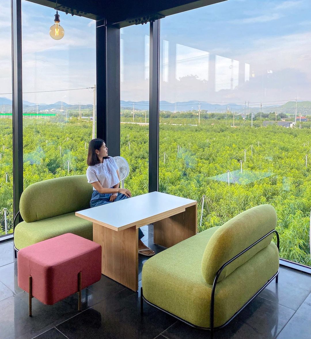 나무그늘(NAMU GEUNEUL)