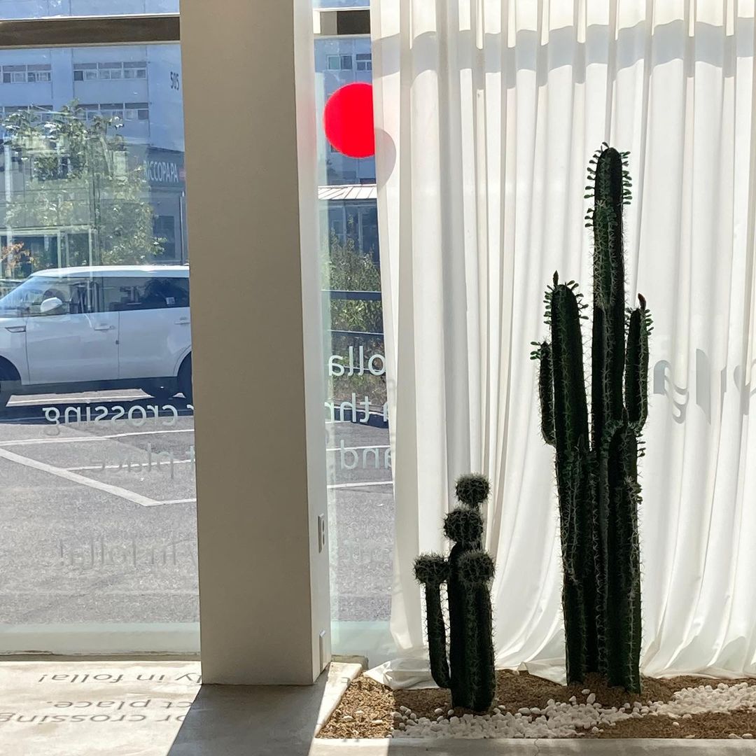 카페폴라 (폐업)()