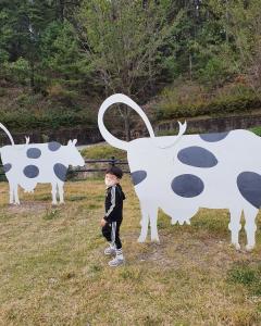 Yeongcheon Experience Travel Course