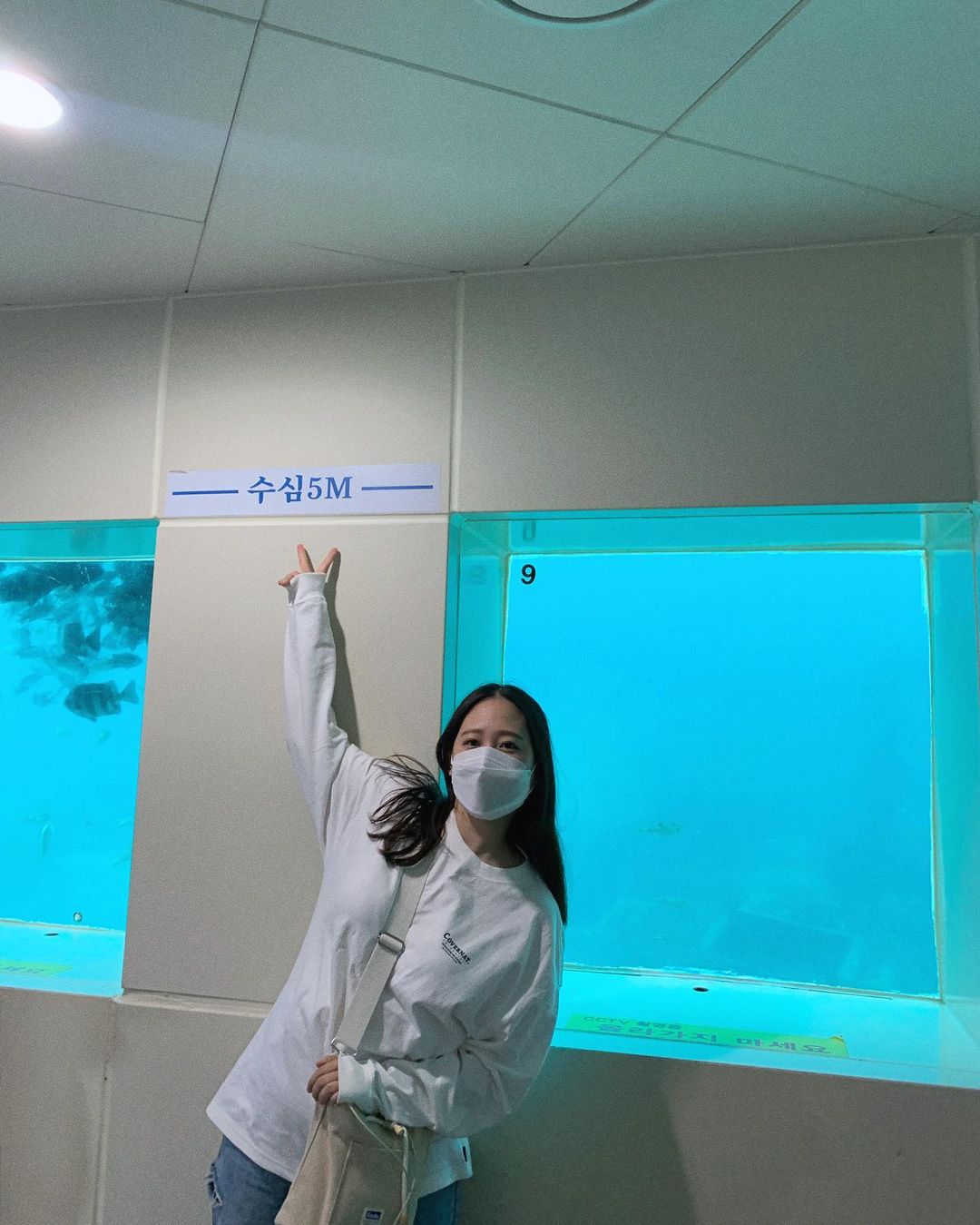 천부 해중전망대(Cheonbu Underwater Observatory)