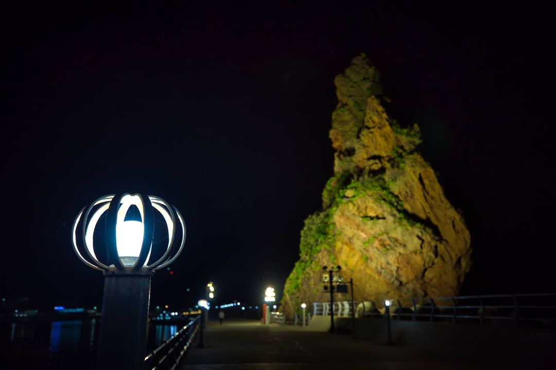 Ulleungdo East/North Exploration Tour
