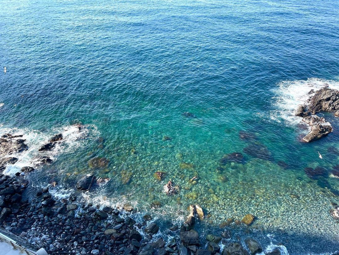 태하항(Taehahang)