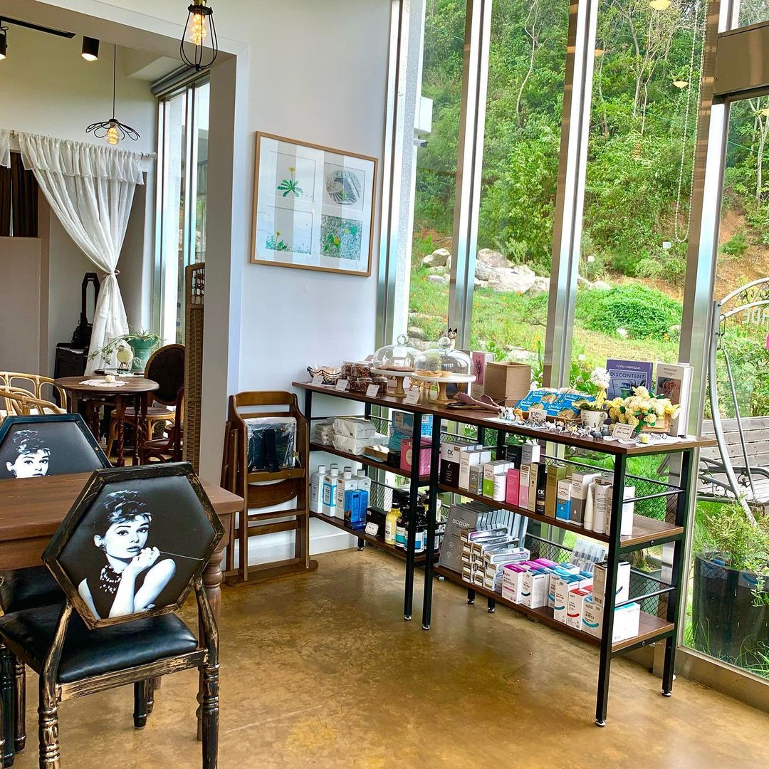 외미골이야기 민들레는민들레