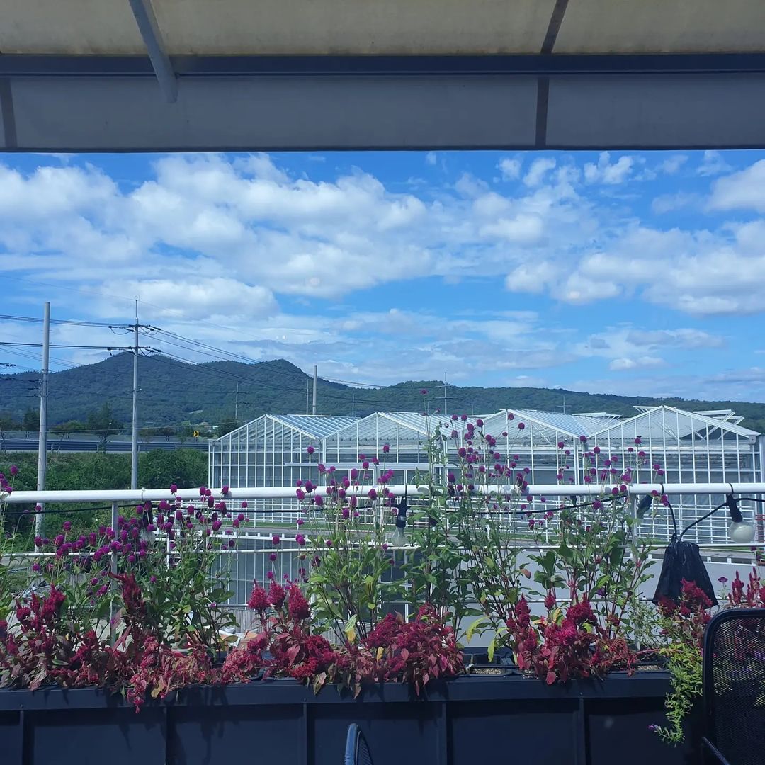 카페 림스(CAFE L'ims Garden)