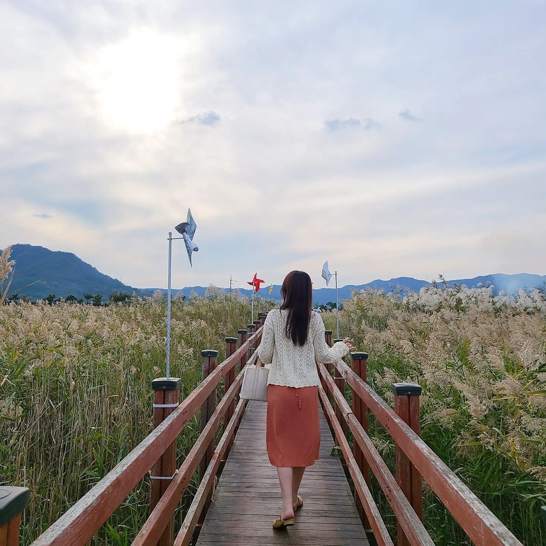 강진만생태공원(Gangjin Bay Ecological Park)
