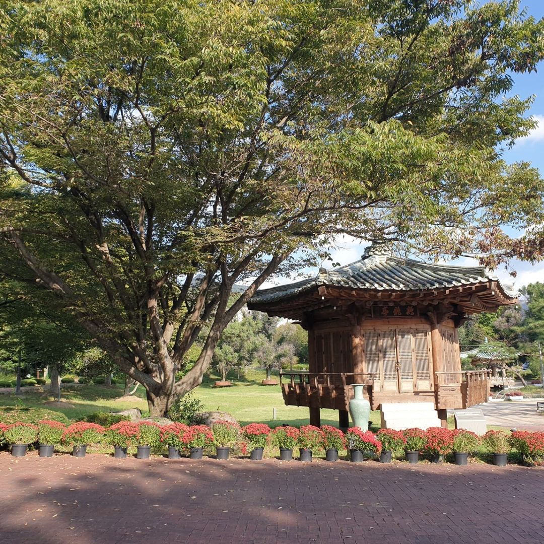 고려청자박물관(Gangjin Celadon Museum)