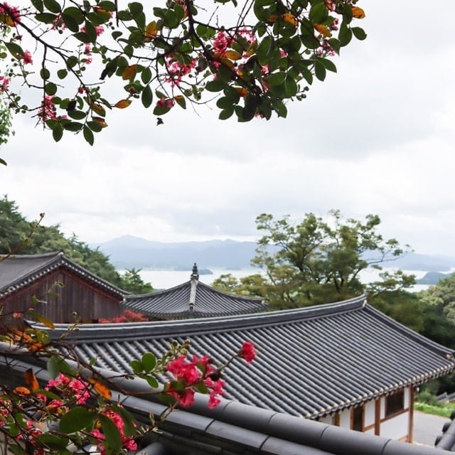 Dasan's Wisdom, Baengnyeonsa's Tranquility