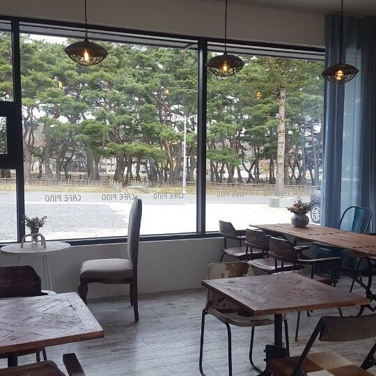 카페피노(CAFE PINO)