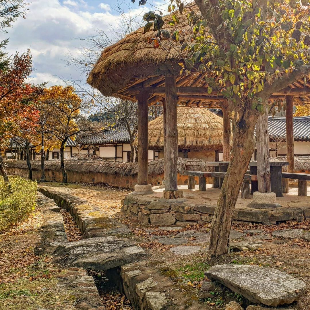 청풍문화재단지's picture