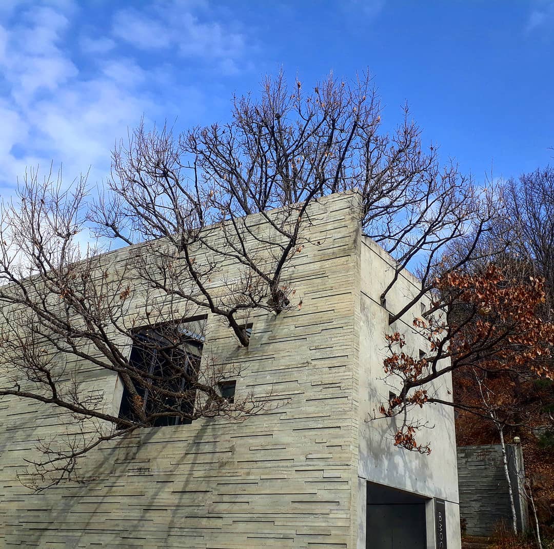 A Day in Paju Filled with Art and Emotion