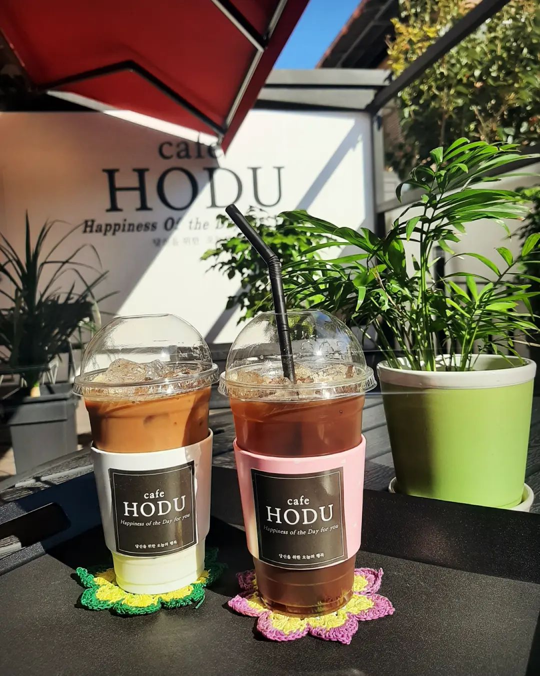 카페호두(cafe HODU)