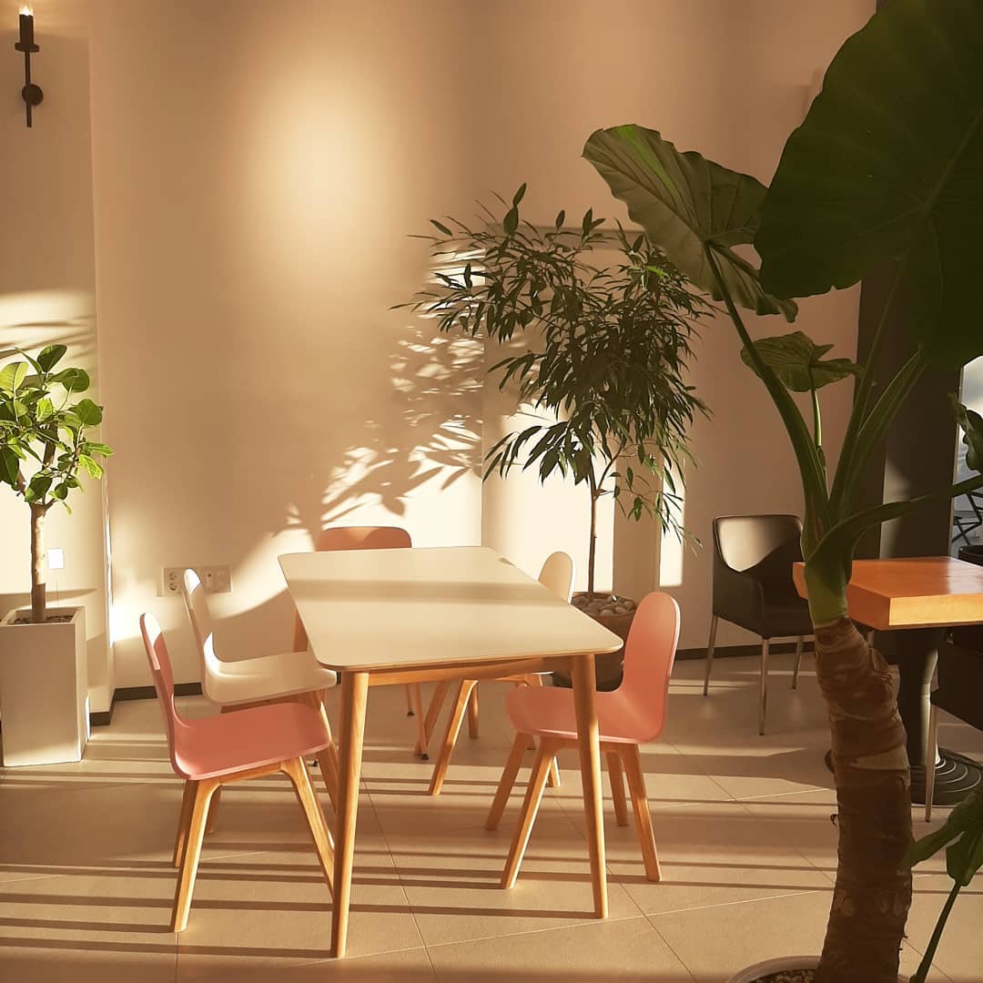 카페호두(cafe HODU)