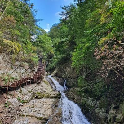 Where Nature Meets History Tour