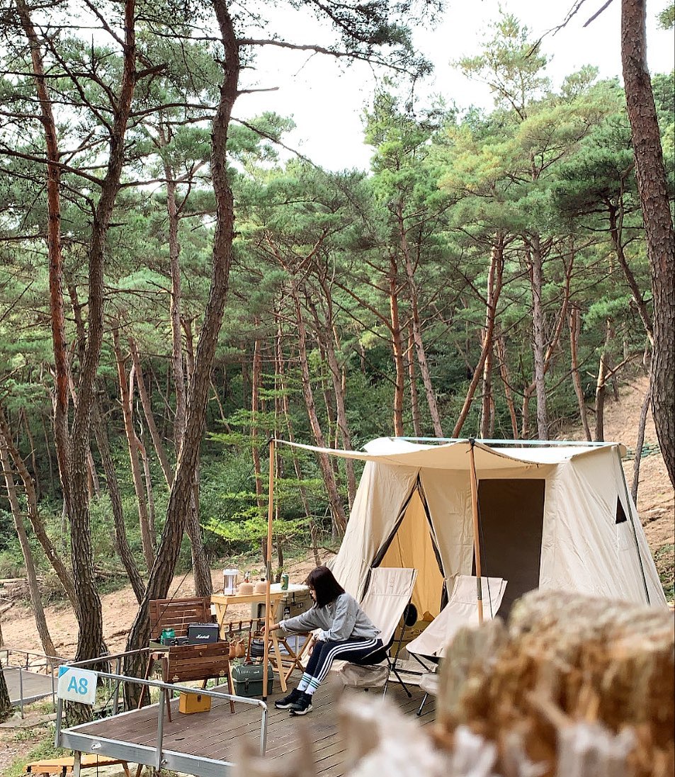 남원 자연휴양림(Namwon Nature Recreation Forest)'s picture