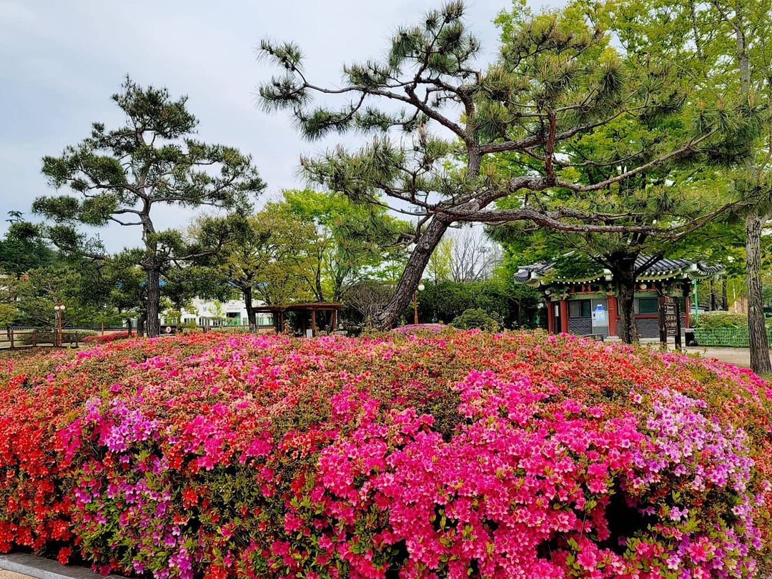 만인의 총(Tomb of Ten Thousand Patriotic Martyrs)'s picture