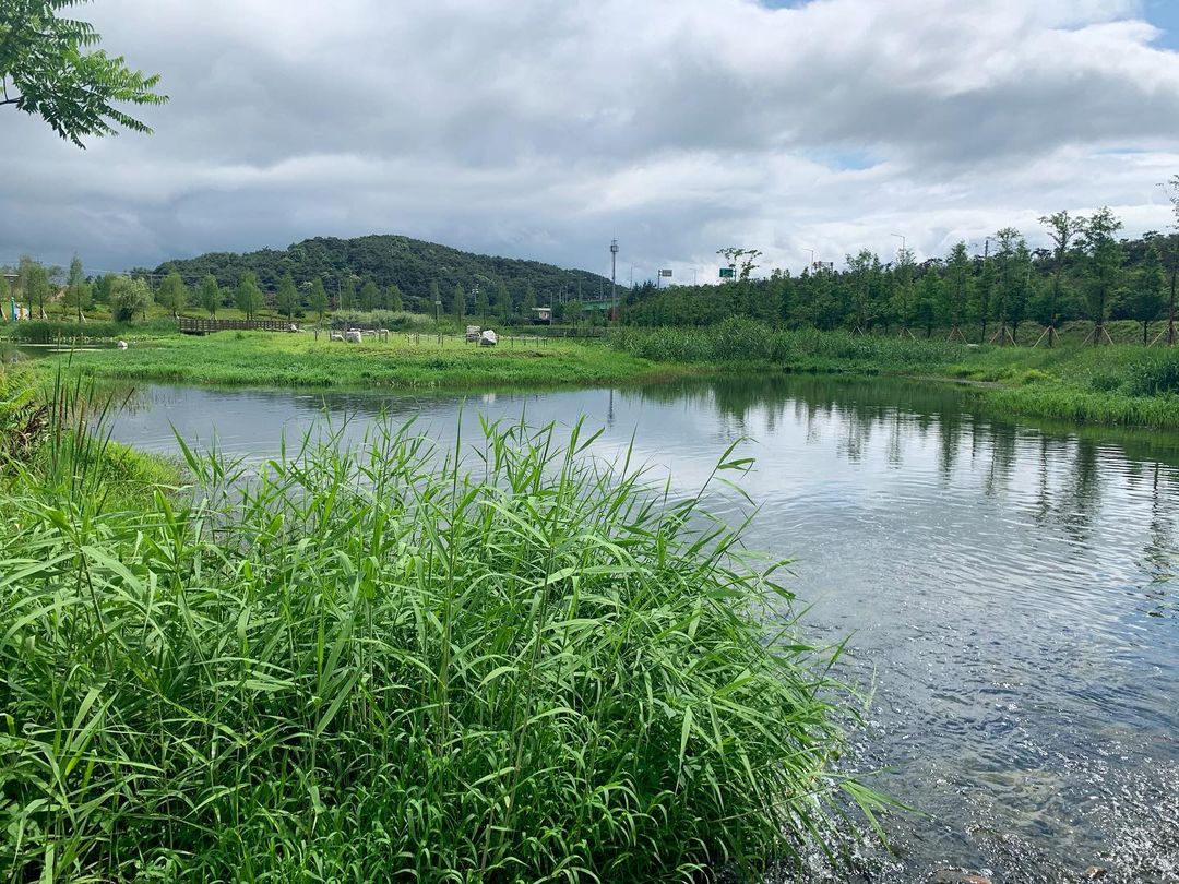 Namwon Nature & Culture Healing Course
