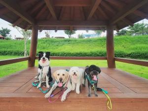 Namwon Nature & Culture Healing Course