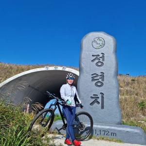 자연 탐방 투어