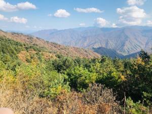 Nature Discovery Tour