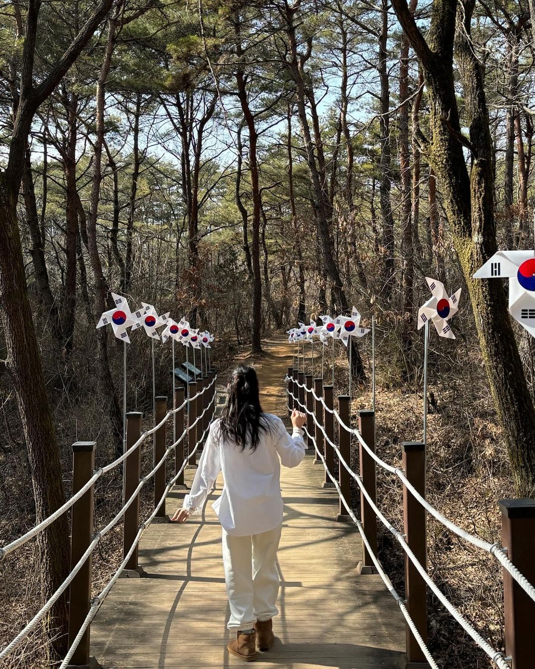 한반도지형(Yeongwol Korean Peninsula Cliffs)