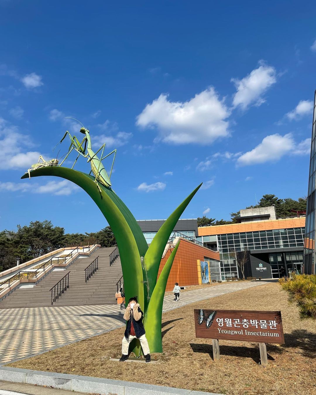 영월곤충박물관(Yeongwol Insectarium)