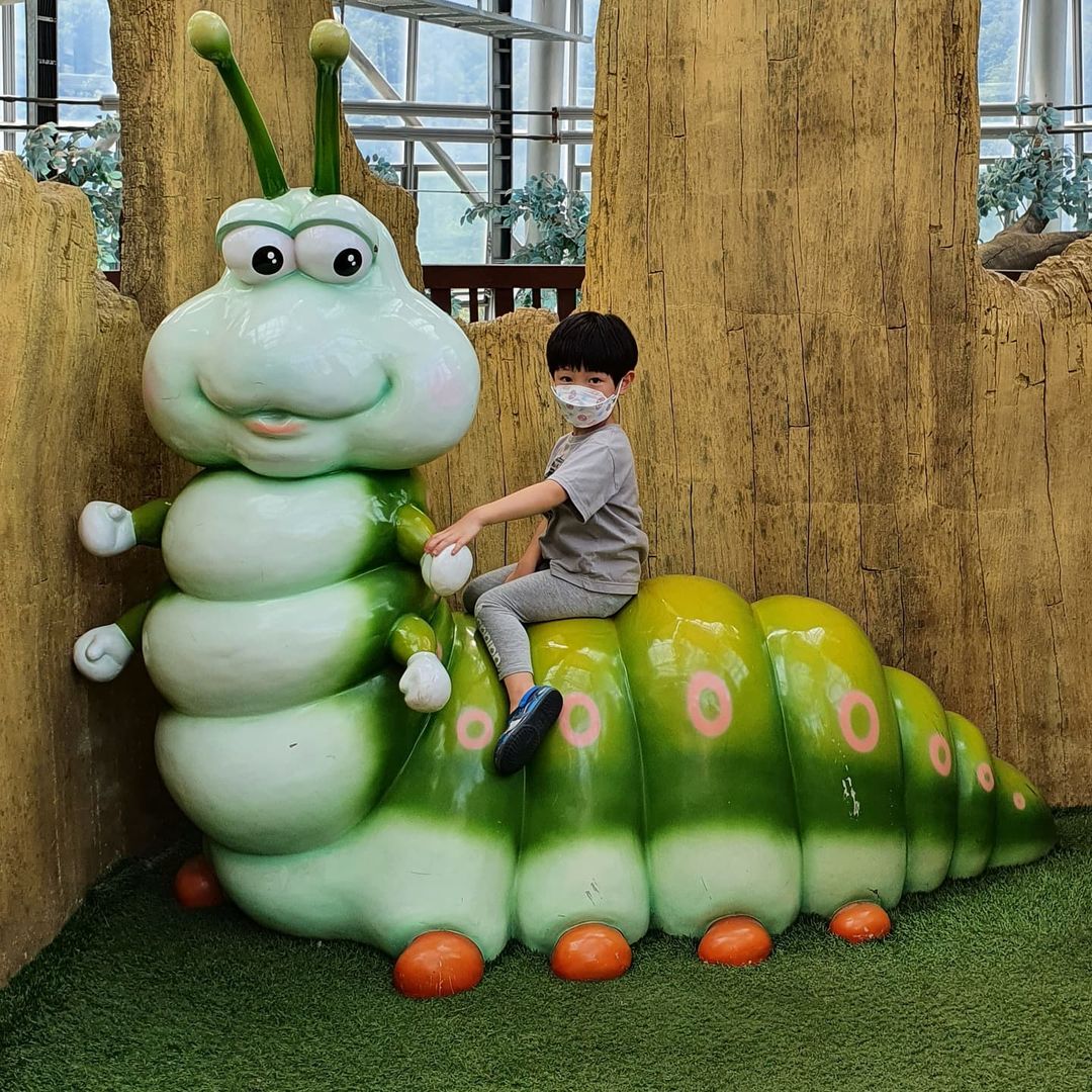 영월곤충박물관(Yeongwol Insectarium)