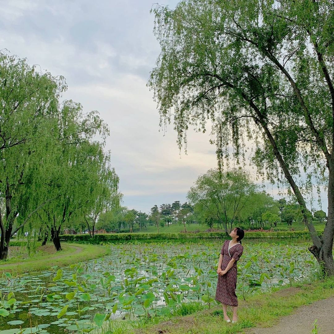 궁남지's picture