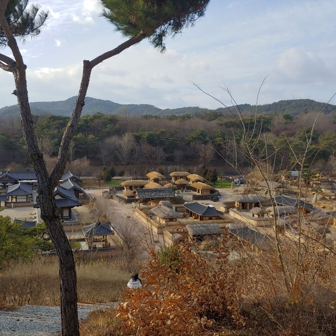 백제문화단지's picture